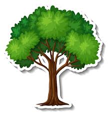 The tree is